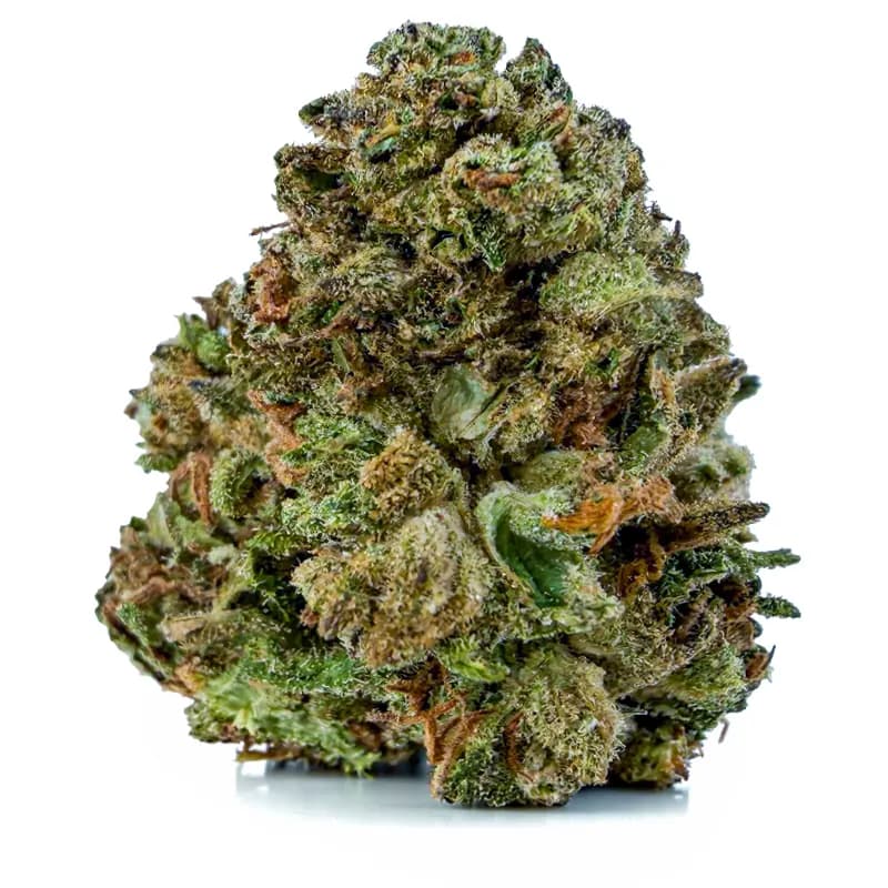 ROYAL GORILLA AA flower listing at Castle Heights Cannabis Ottawa