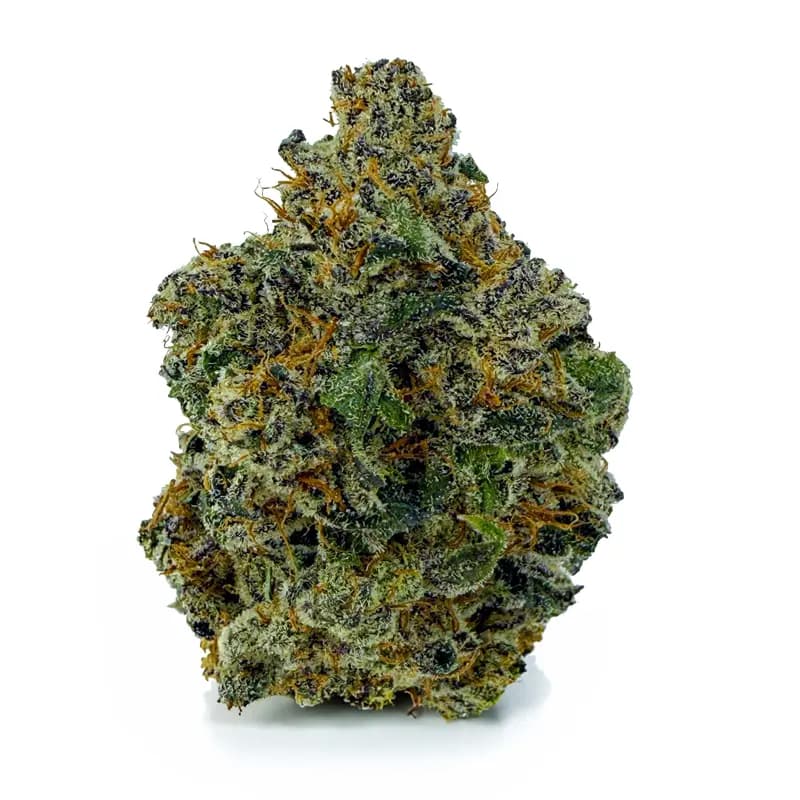 WHITE CHAMPAGNE AA flower listing at Castle Heights Cannabis Ottawa