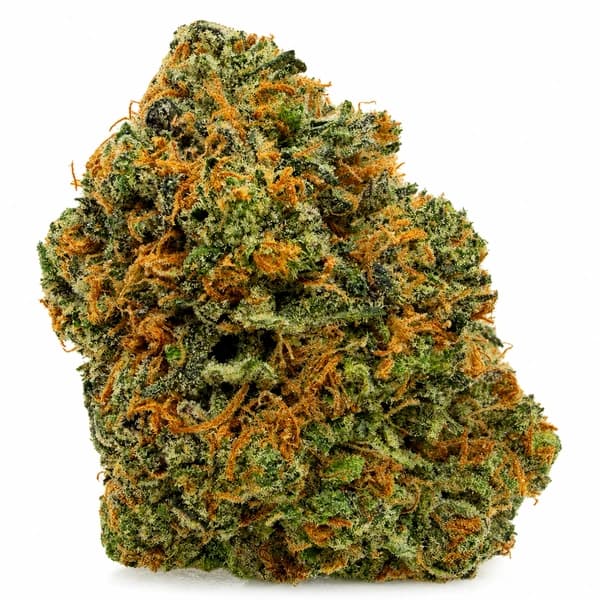 BLUEBERRY JUNKY flower listing