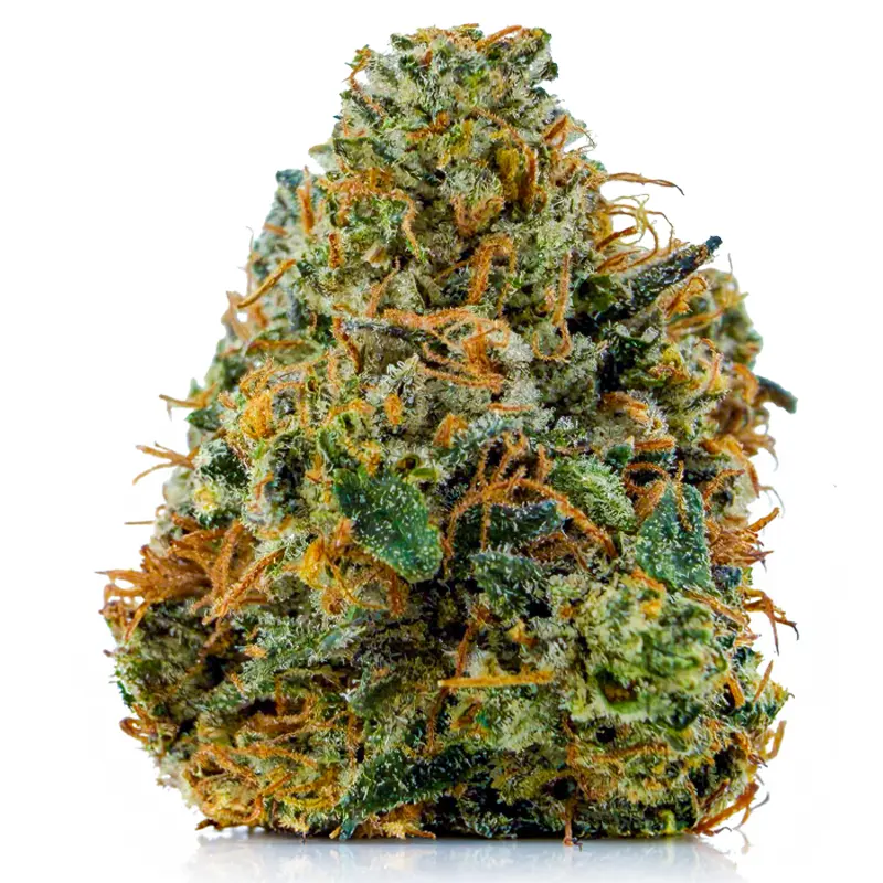 DEATH STAR BUBBA PREMIUM flower listing at Castle Heights Cannabis