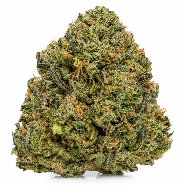 CRACK PINK flower listing