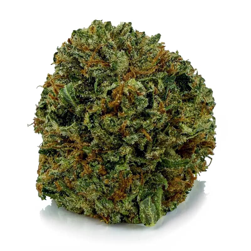 PINK ROZAY AAA+ flower listing at Castle Heights Cannabis Ottawa