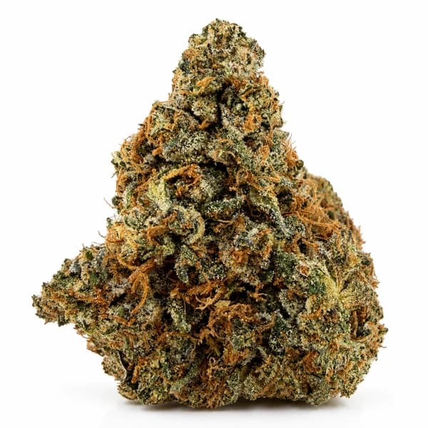 PINK GOO flower listing