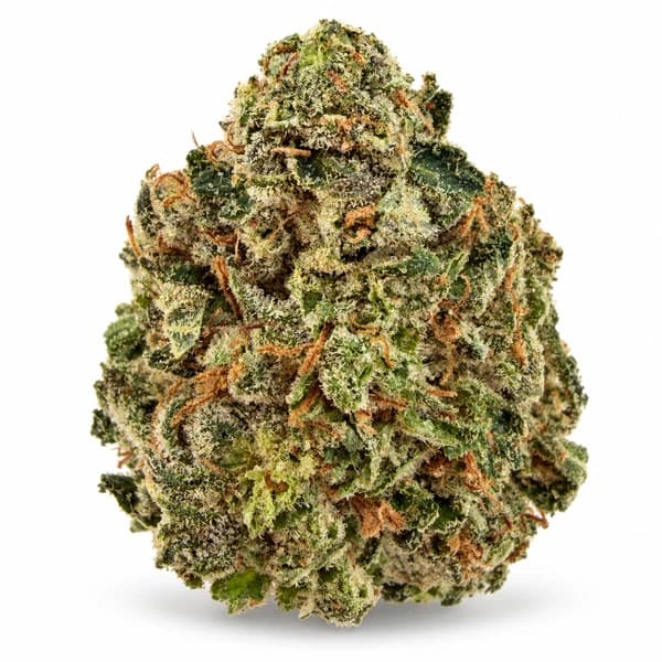 PINK ROCKSTAR flower listing