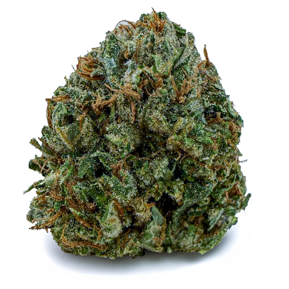 MUELLER FUEL flower listing