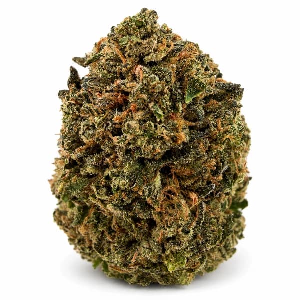 GOLDEN GAS flower listing