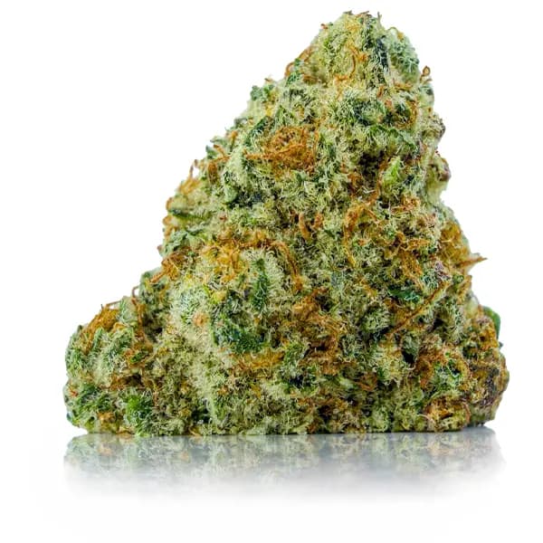 PINK HOLY GRAIL flower listing