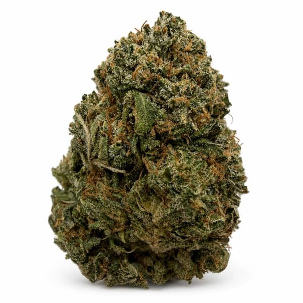 EL CHAPO flower listing