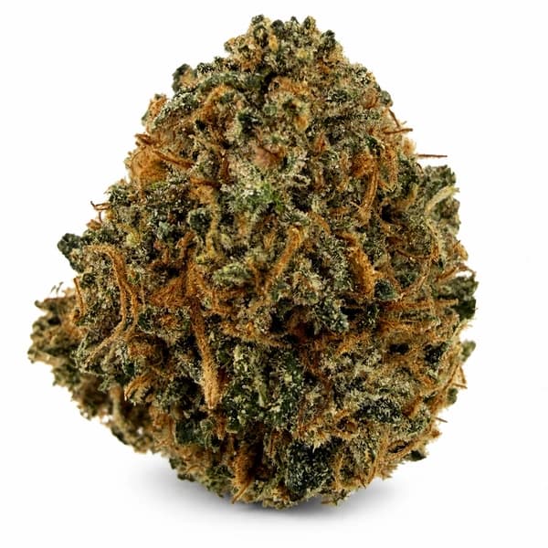 PINK MANGOO flower listing