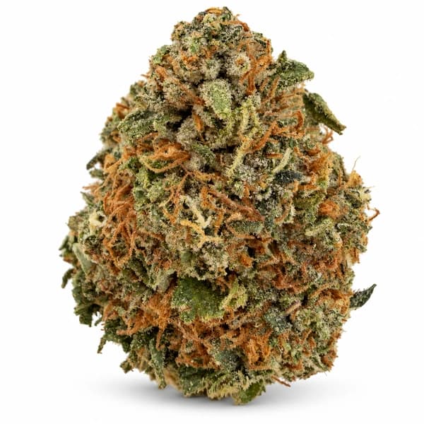 SUPER PINK MARIO flower listing