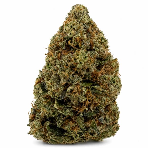 ALIEN SMACK PINK flower listing