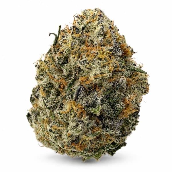 DEVIL DRIVER flower listing